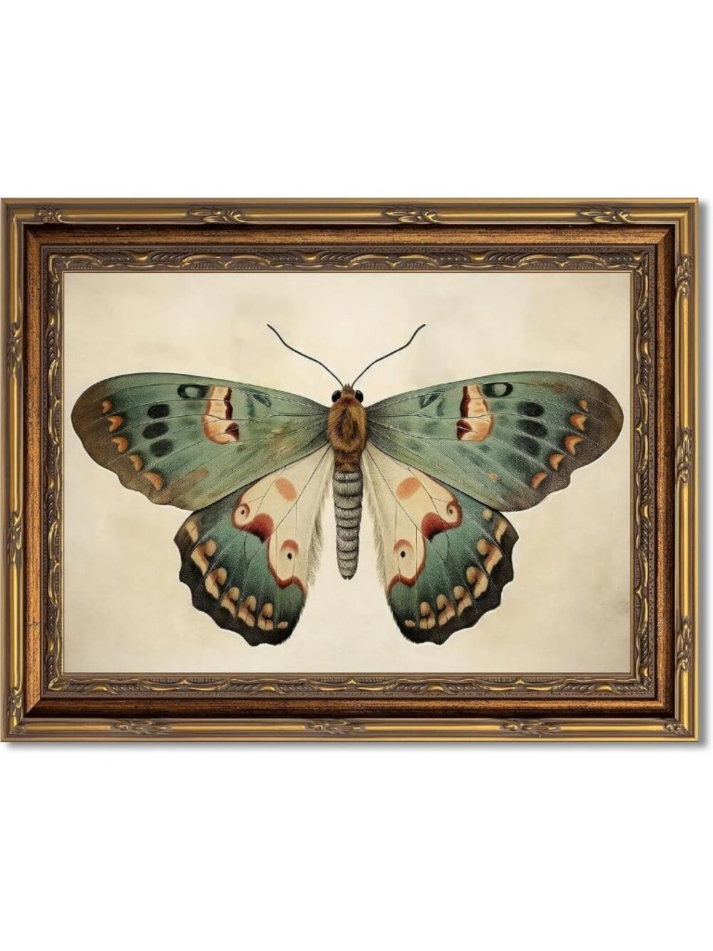 Vintage Gold Framed Butterfly Canvas Art | Retro Insect Wall Decor 16x24
